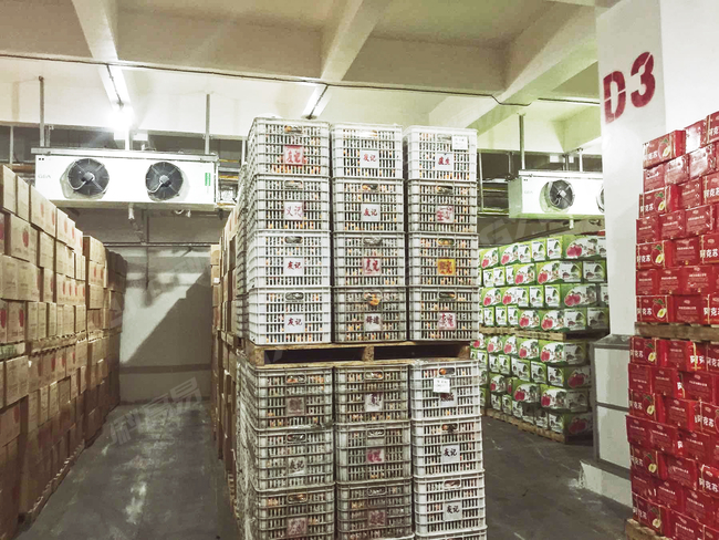 Fruit and Vegetable Cold Storage_Shenzhen hijixing_4