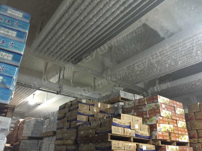 Fruit and Vegetable Cold Storage_Shenzhen hijixing_19