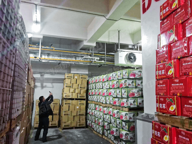 Fruit and Vegetable Cold Storage_Shenzhen hijixing_5