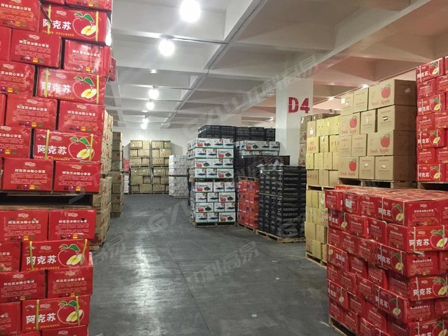 Fruit and Vegetable Cold Storage_Shenzhen hijixing_6