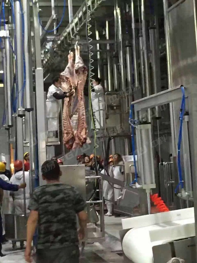 Slaughter Case_Xinjiang Slaughterhouse_8
