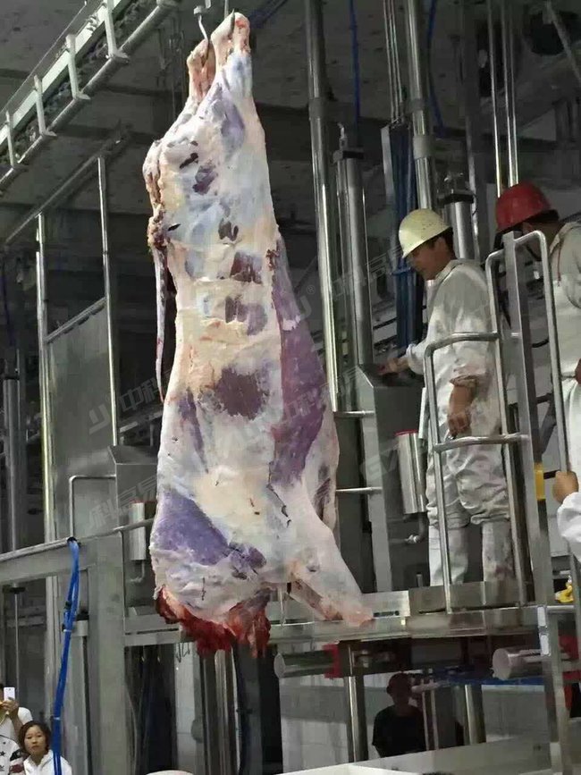 Slaughter Case_Xinjiang Slaughterhouse_0